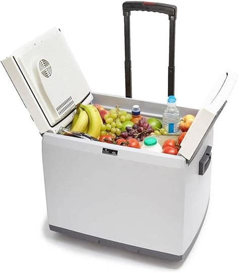 electric cooler box suppliers|240v electric cool boxes uk.